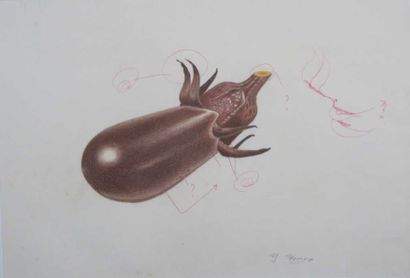 null HONGO Y. (1916-1995). Etude d'aubergine. Dessin. 29 x 41 cm.
