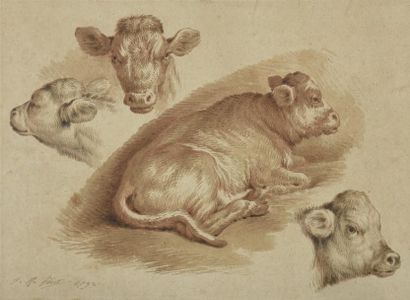 null Jean Baptiste HUET (1745-1811). Etude de boeufs. Lavis de sanguine et brun sur...