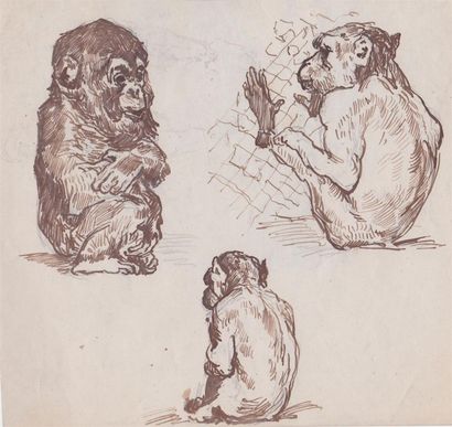 null Attribué à Christophe FRATIN (1800-1864). Etude de singes. Encre brune sur papier....