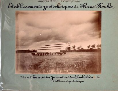  1902 Etablissement zootechnique de Hanoi (Tonkin). Un ensemble de 13 planches photographiques...