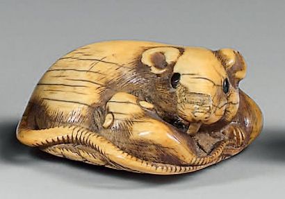 null Netsuke en ivoire à patine jaune, rongeur et deux petits couchés dans un panier....