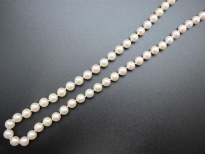 null Collier de perles de culture shocker, fermoir en or 750°/°° (18k). Long.,: 78...