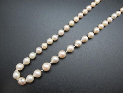 null Collier de perles baroques, fermoir en métal . Long. : 54 cm.