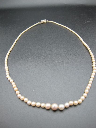 null Collier composé d'un rang de perles probablement fines d'environ 1,4 à 5,3 mm,...