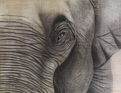 Thierry BISCH (1953) "Eléphant". Acrylique, fusain sur toile. Signé, daté 2003 en...