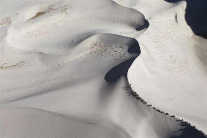 null Yann ARTHUS-BERTRAND « Caravane de Yaks dans les dunes près du Skardu, vallée...