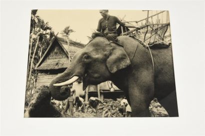 null 1950 Un ensemble de 6 photographies du Cambodge (tirages d'époque sous passe-partout)...