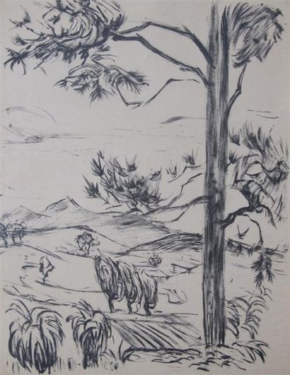 null Lou Albert-Lasard (1885-1969) Au confins de la Chine Un ensemble de 36 lithographies...