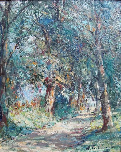 null Charles-Henri VERBRUGGHE (1877-1974)
Sous-bois, huile sur panneau signé en bas...