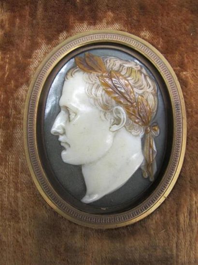null D'après David D'ANGERS (1788-1856). Camée en pierre dure blanche et brune représentant...