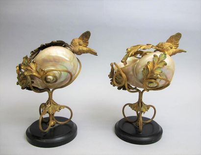 null Deux nautiles dans une monture en bronze doré à motifs d'oiseau et de feuille,...