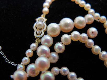 null Collier composé de 90 perles fines de couleur blanc-crème en chute de 3 mm à...