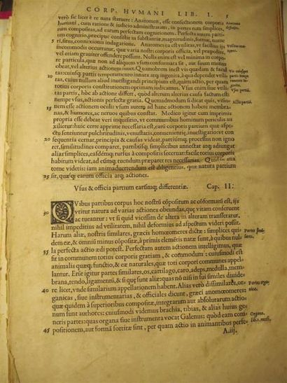 null Cinq gravures sur bois XVIe siècle, pour l'ouvrage d'anatomie "De dissectione...