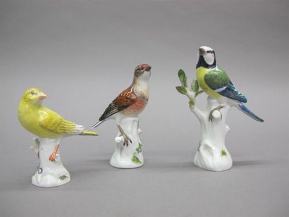 null MEISSEN. Trois oiseaux en porcelaine polychrome (manques aux feuilles). H. 14,...
