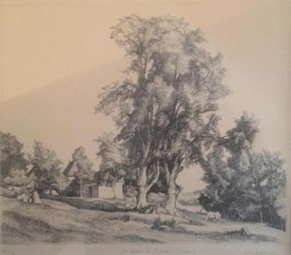 null Hébutern. Les arbres de Rieux. Lithographie, signée, n°82/100. 27,5 x 32 cm...