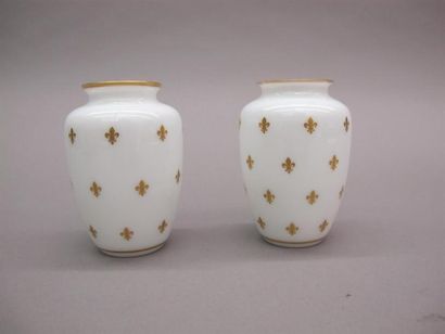 null BACCARAT. Deux vases en opaline à décor de fleurs de lys rehaussées d'or.