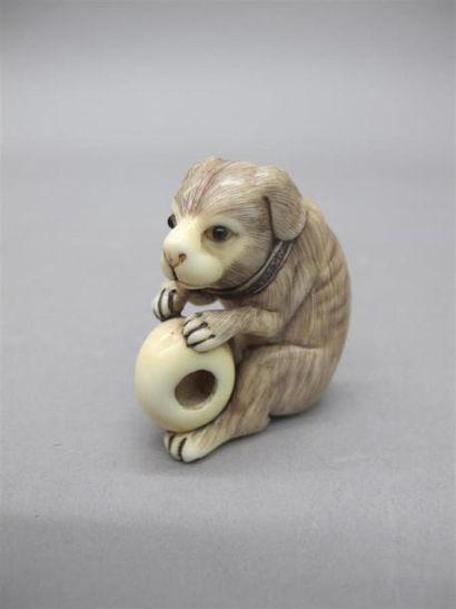 null JAPON- Epoque MEIJI (1868 - 1912) Netsuke en ivoire sculpté et rehaussé à l'encre,...