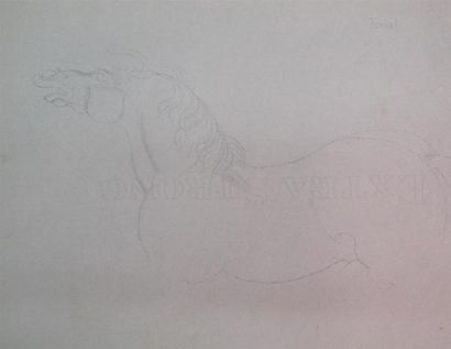 null Louis BILLOTEY (1883-1940)
Etudes de biche, cheval, feuillage et nuages
13 dessins...