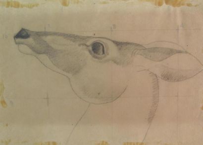 null Louis BILLOTEY (1883-1940)
Etudes de biche, cheval, feuillage et nuages
13 dessins...