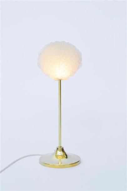 null Andrea SALVETTI
A "Cavolo"
Lampe en laiton et résine.
48 x 18 cm.