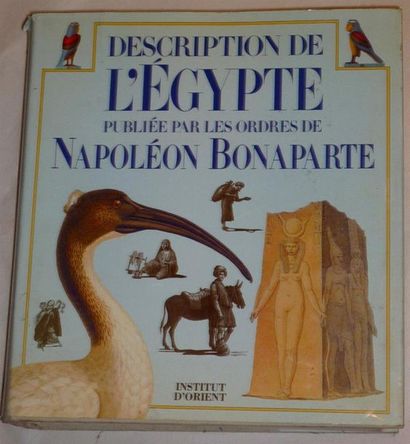 null Les Etrusques et l'Europe, RMN, Grand Palais, Paris, 1992
Pompei AD 79, Royal...