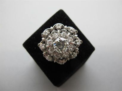 null Broche rosace en or blanc 750°/°° (18k) ornée de diamants. Poids du diamant...