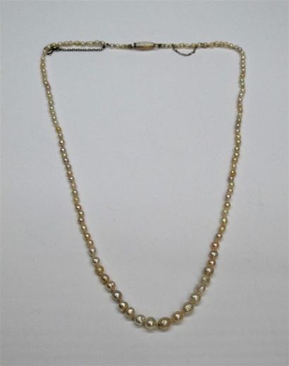 null Collier composé d'une chute de perles fines de 2 à 4 mm, agrémenté d'un fermoir...