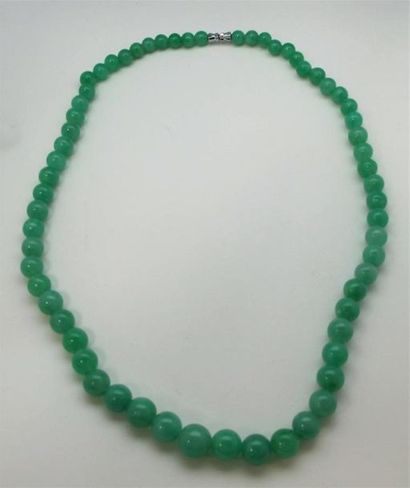 null Collier composé de 63 perles en jade-jadéïte en chute, fermoir à vis en métal...