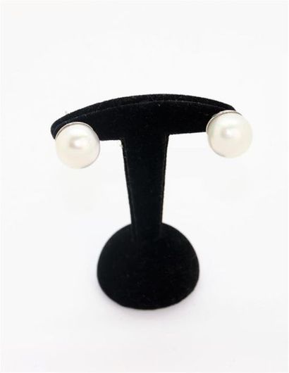 null Paire de boutons d'oreilles en or blanc 750°/°° (18k) ornés de perle de culture.
Diamètre...
