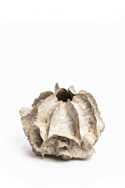 null BELL-HUGHES Beverley (née en 1948)
Vase en grès figurant d'une anémone de mer,...