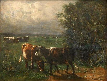 null Johannes Hubertus Leonardus de HAAS (Hedel 1832-Koningswinter 1908) 
Deux vaches...