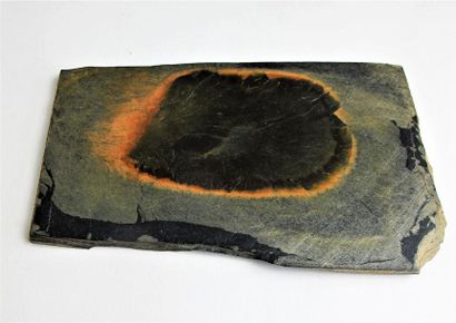 null Ensemble de pierres dures comprenant: un disque d'agate (20 x 19 cm), une septaria...