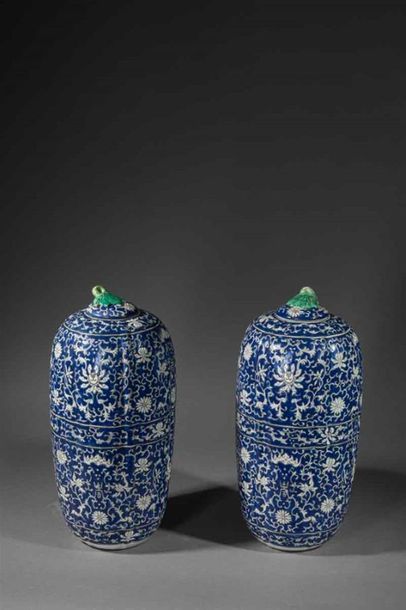 null CHINE
Paire de grands vases longiformes couverts en porcelaine à décor de rinceaux...