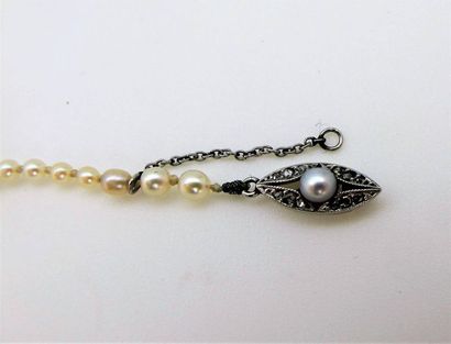 null Necklace made of 143 fine pearls in fall. Ratchet clasp in white gold adorned...