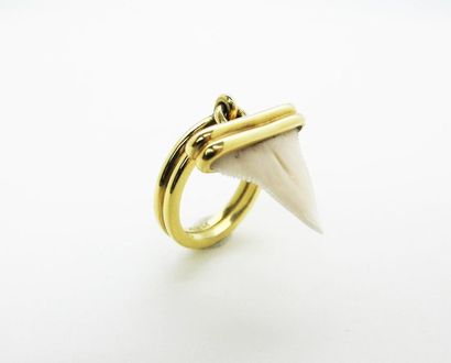 null BRY
Pendant or ring in yellow gold 750°/°°° decorated with a shark tooth in...