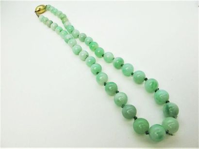 null Collier composé de trente-neuf perles de jade-jadéïte en chute. Fermoir olive...