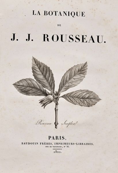 REDOUTÉ, PIERRE JOSEPH ­ J.J. Rousseau: 