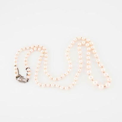 null Long collier de perles de culture blanches en chute. 

Fermoir en or gris (750)...