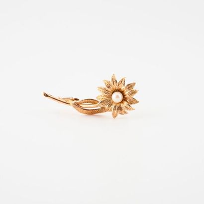 null Broche fleur en or jaune (750) centrée d'une perle de culture blanche. 

Epingle...