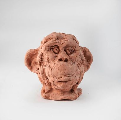 Robert GODEFROY (1928-2020) 

Tête de singe.

Terre cuite.

H. : 16 cm.
