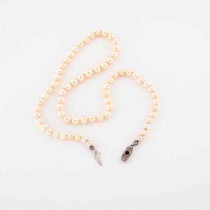 Necklace of white cultured pearls choker....