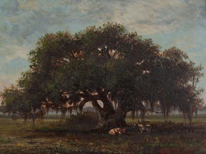 William Henry BUCK (1840-1888) 
Louisiane, deux vaches sous un chêne de Virginie.
Huile...