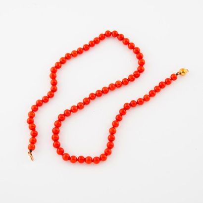 Necklace of choker-red coral beads (Corallium...