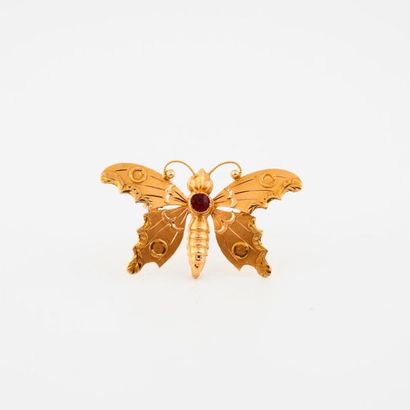 null Broche papillon en or jaune (750) amati, le corps centré d'une petite pierre...
