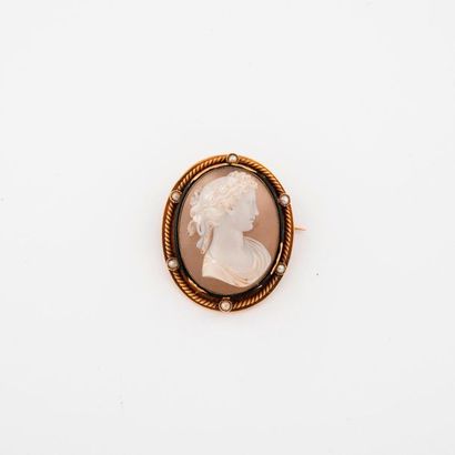 null Brooch in yellow gold (750) centred on a cameo on agate with the profile of...
