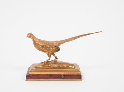 D'après Antoine Louis BARYE (1796-1875) 

Faisan. 

Epreuve en bronze patiné doré....