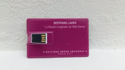 Bertrand LAVIER Le musée Imaginaire de Walt Disney Paris 2017 vidéo 4K sur clé USB...