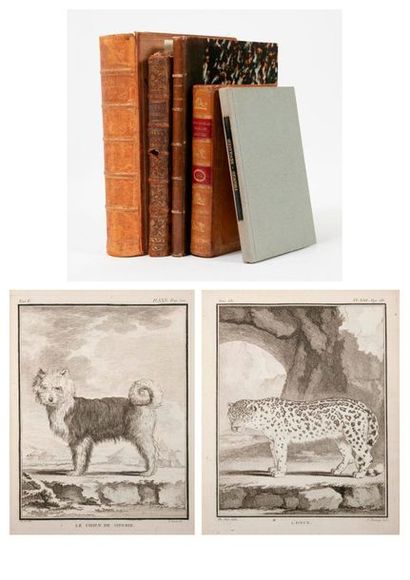 null Lot de cinq livres, non collationnés : 

- Office de Saint Jacques Le Majeur,...