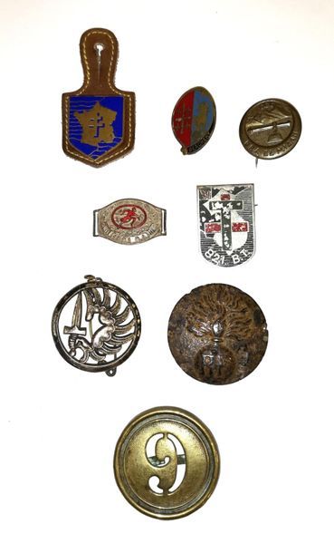 BERAUDY-VAURE, DRAGO... Metal regimental military insignia, some enamelled (de la...