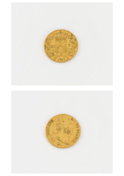 France Pièce de 20 Francs or, Louis XVIII, 1819, Paris

Poids net : 6.3 g. 

Rayures...